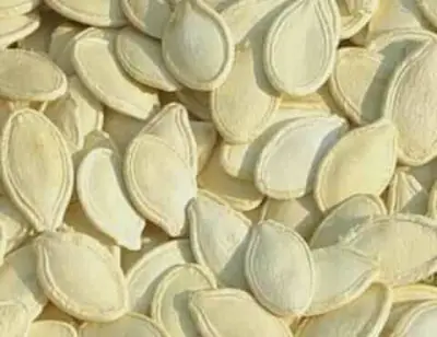 لب كوسة او حب القرع 